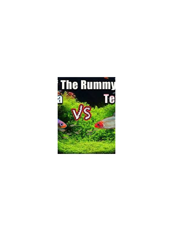 Rummy Comparison: Repair Distance Versus Raw Card Points
