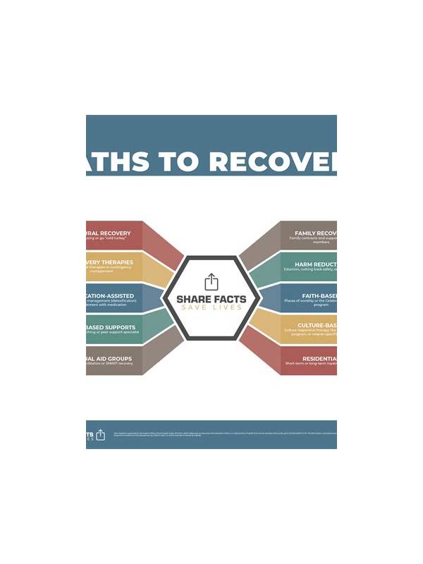 Rummy Guide: Compare Plans by Their Recovery Paths