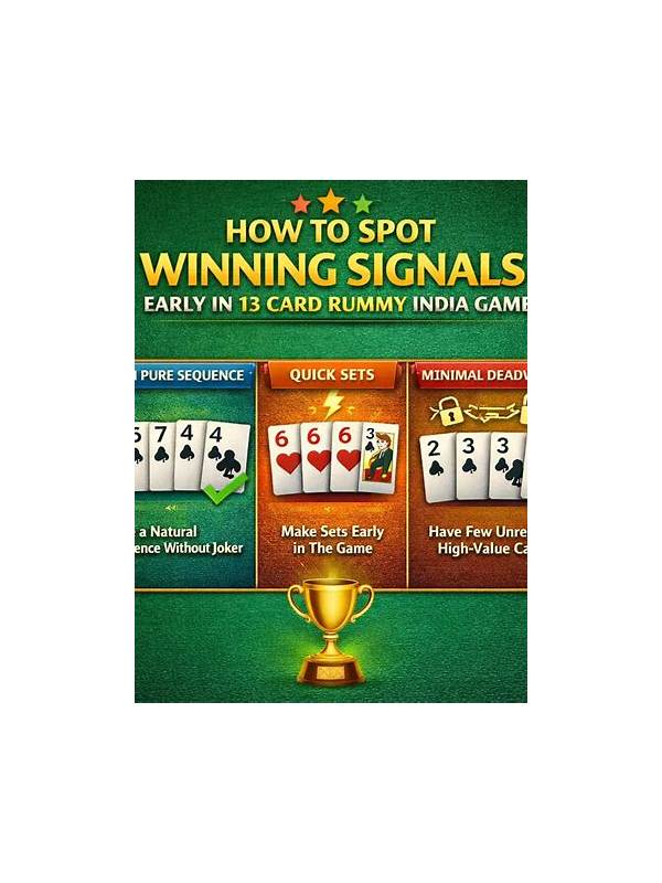 Rummy Opponent Information: Facts, Signals, and Guesses